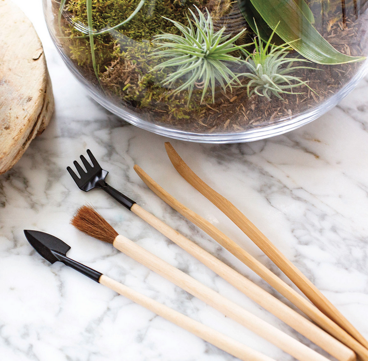 Syndicate Sales Terrarium Tool Kit 4 Piece With Extended Handles For Plants And Moss